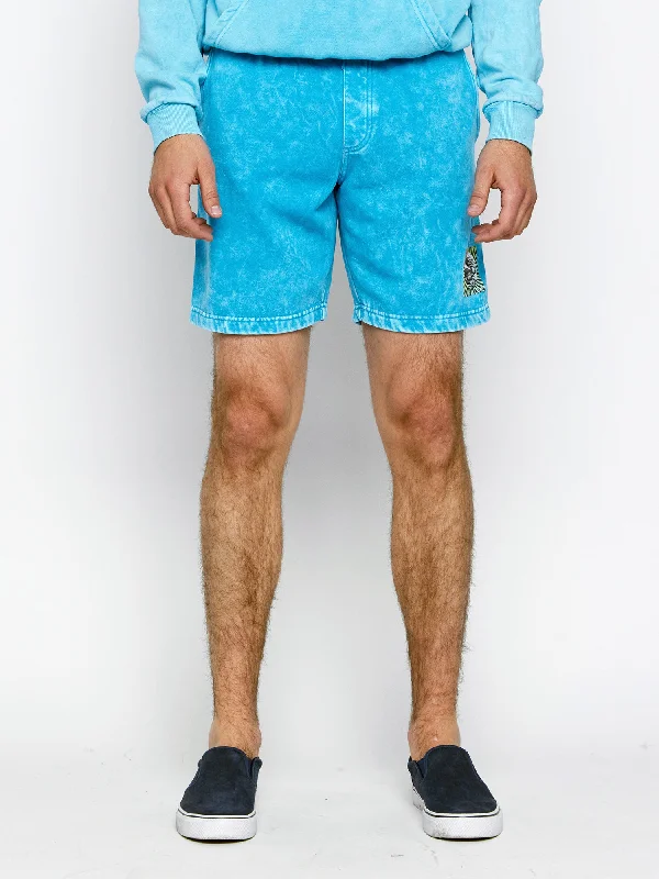 Day Trippin Eco Fleece Shorts Polished Men's Satin